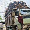 driver_muda
