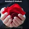 adnanhussainbal41