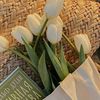 abouttulip