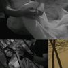anndlc.story