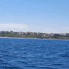 tipaza462