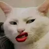 bundaut_