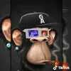 user13cdvy8lrz4
