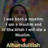 user357422591760alifaiza