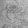 jst_nyuu