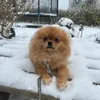 queenie24012023