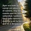 user8410162082766