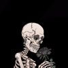 12_beats