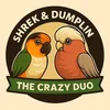 shrek_dumplin