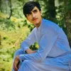talalzaib65