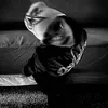 soraya_sm01