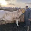 omarbouchere