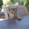 la.mama.kat