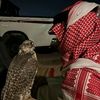 🦅الصقر🦅