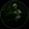skj_5u