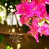 moshaf_412