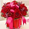 nourhansaid473