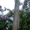 naogostodeinternet