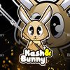 kashnbunny
