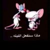 user17l7bav9vr