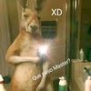 daniel14051272