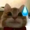 qtthecun