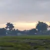 yuliaericha