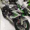 bagheera_zx6r