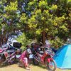 luthfialfian4413
