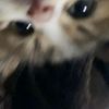 dimmzzss022422