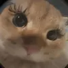 minadalua5