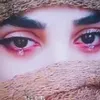 touqeershah350