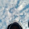 makhluk_hidpp