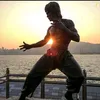 brucelee19401973