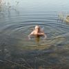 wollin57