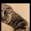 stalker_ke1