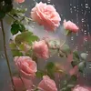 marliarunow7