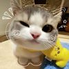 nrammsh