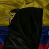 carlos31minutos