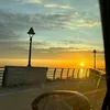 lionmasbari