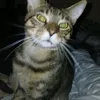 jess1ca666