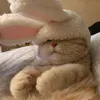 mar_meries