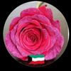 أميره