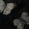 khdjgjewo356