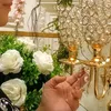fatimafatima8677