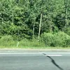 dddd_2341