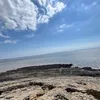 ciarawells513