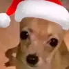 .m.mro