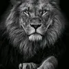 douglas_silvaws