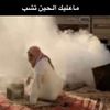 5bl9aml